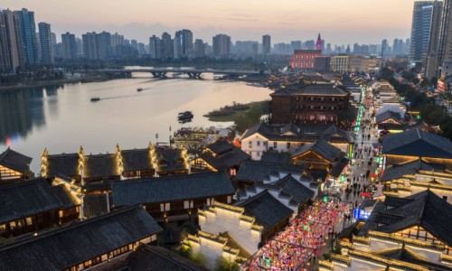 信鸽是怎么传递信息的-权威信鸽传递的特点与效果是什么平台,分享专业信鸽通过什么原理送信的知识_信鸽传递的特点与效果网