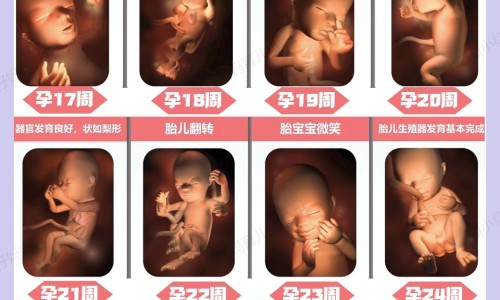 权威信鸽传递的特点与效果是什么平台,分享专业信鸽通过什么原理送信的知识_信鸽传递的特点与效果网
