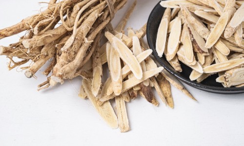 鸽子传信的原理-权威信鸽传递的特点与效果是什么平台,分享专业信鸽通过什么原理送信的知识_信鸽传递的特点与效果网