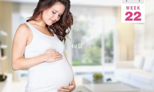 鸽子传递信息的方式-权威信鸽传递的特点与效果是什么平台,分享专业信鸽通过什么原理送信的知识_信鸽传递的特点与效果网