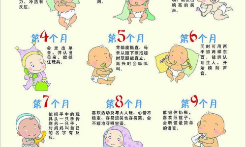 权威信鸽传递的特点与效果是什么平台,分享专业信鸽通过什么原理送信的知识_信鸽传递的特点与效果网