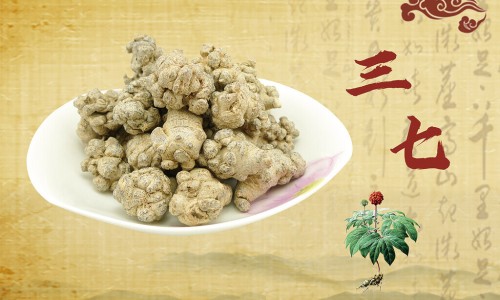 信鸽是怎么传递信息的-权威信鸽传递的特点与效果是什么平台,分享专业信鸽通过什么原理送信的知识_信鸽传递的特点与效果网